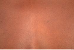 Photo Textures of Human Skin